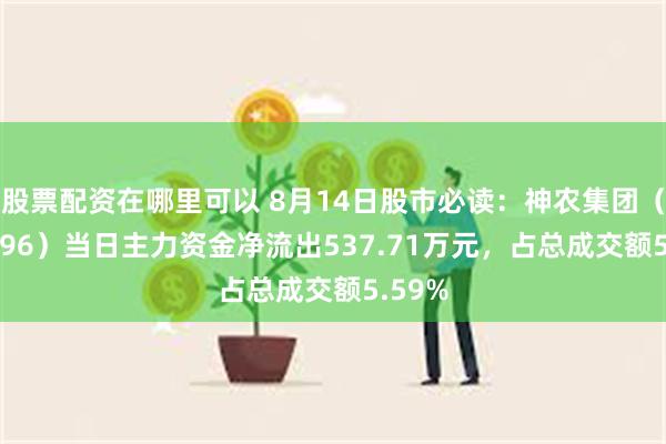 股票配资在哪里可以 8月14日股市必读：神农集团（605296）当日主力资金净流出537.71万元，占总成交额5.59%