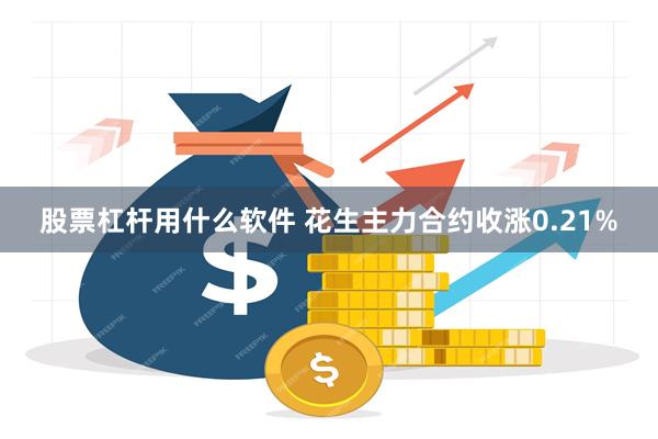 股票杠杆用什么软件 花生主力合约收涨0.21%