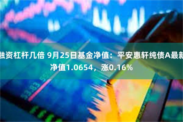 融资杠杆几倍 9月25日基金净值：平安惠轩纯债A最新净值1.0654，涨0.16%