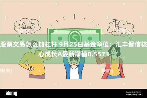 股票交易怎么加杠杆 9月25日基金净值：汇丰晋信核心成长A最新净值0.5573