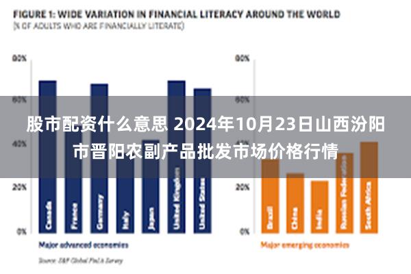 股市配资什么意思 2024年10月23日山西汾阳市晋阳农副产品批发市场价格行情