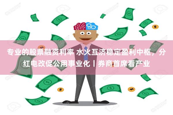 专业的股票融资利率 水火互济稳定盈利中枢，分红电改促公用事业化丨券商首席看产业