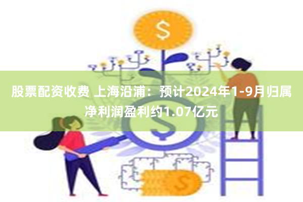 股票配资收费 上海沿浦：预计2024年1-9月归属净利润盈利约1.07亿元