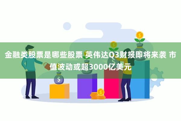 金融类股票是哪些股票 英伟达Q3财报即将来袭 市值波动或超3000亿美元