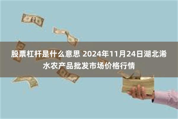 股票杠杆是什么意思 2024年11月24日湖北浠水农产品批发市场价格行情